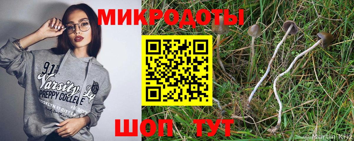 хочу   Вход с VPN  Сухой Лог  Галлюциногенные грибы мицелий 