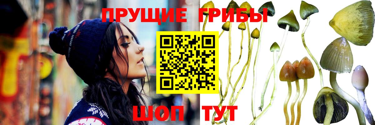 Галлюциногенные грибы мицелий Сухой Лог