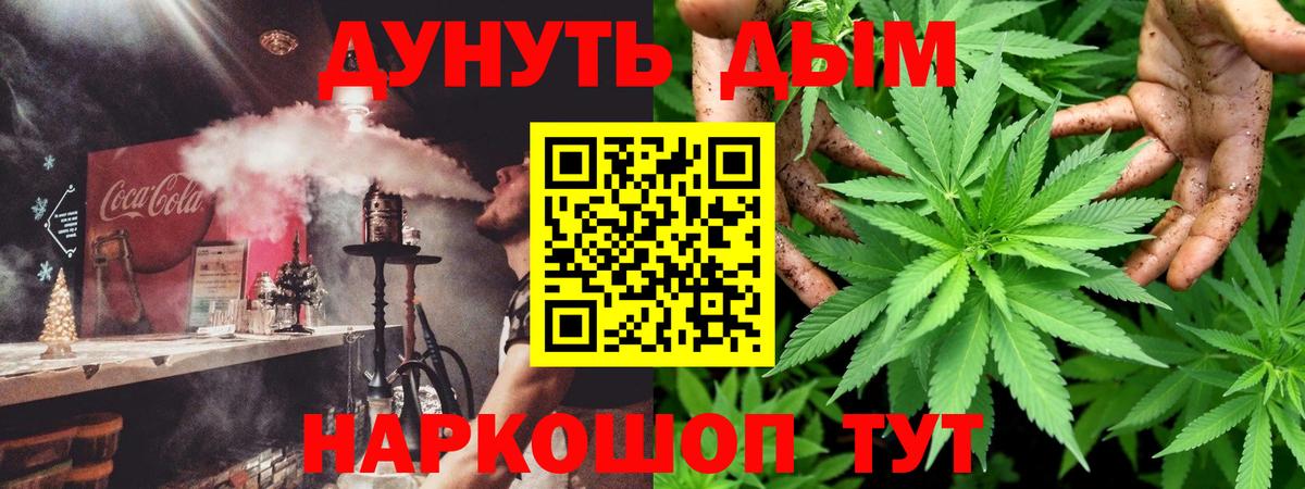 Каннабис сатива Сухой Лог